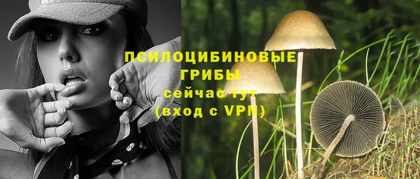 первитин Арсеньев
