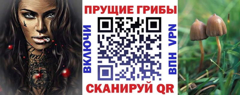 Псилоцибиновые грибы мухоморы Саянск